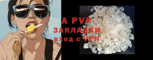 сатива Аркадак