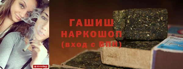 сатива Аркадак
