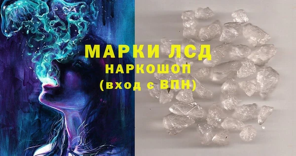 сатива Аркадак