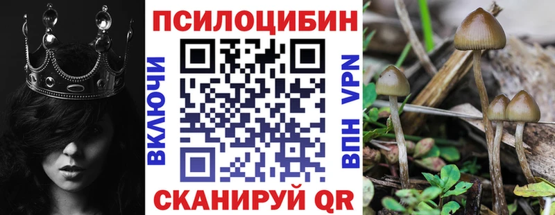 Галлюциногенные грибы Psilocybe  Краснообск 